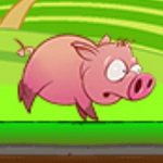 Premium Game Pink Running Pig